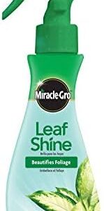 Miracle-Gro Leaf Shine, 8-Ounce Green