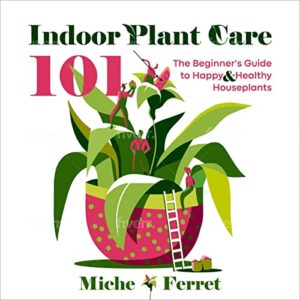 Indoor Plant Care 101: The Beginner’s Guide to Hap…