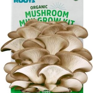 Back to the Roots Organic Mini Mushroom Grow Kit, …