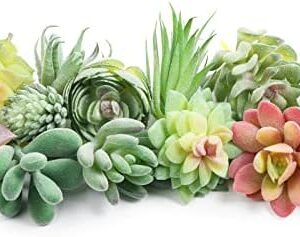 HappyHapi 12 Pcs Artificial Succulents Mini Fake P…