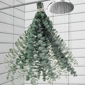 11 PCS Real Dried Eucalyptus for Shower Hanging De…