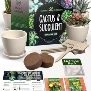 HOME GROWN Succulent & Cactus Seed Kit for Plantin…