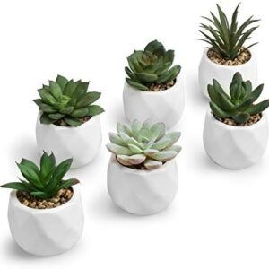 MyGift Mini Assorted Green Faux Succulent, Indoor …