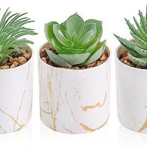 Der Rose 3 Pack Small Fake Plants Succulents Plant…